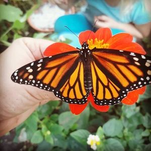 Meet your Posher, Karalea